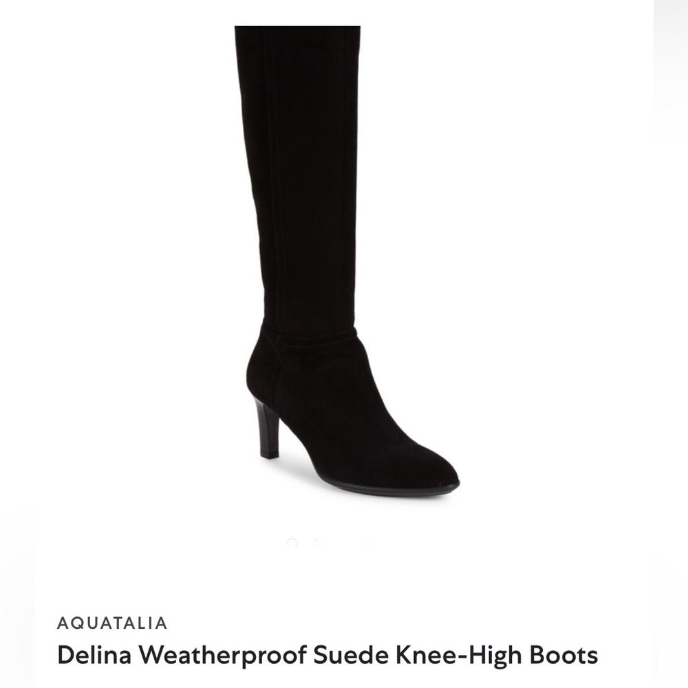Aquatalia Delina Knee high Boots